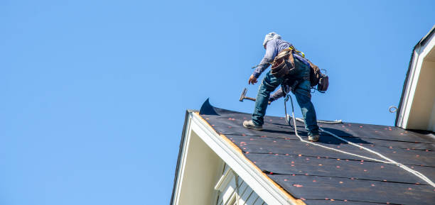 Best Roof Gutter Cleaning  in Lovington, NM